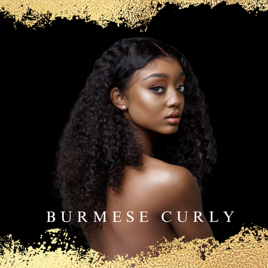 Burmese Curly